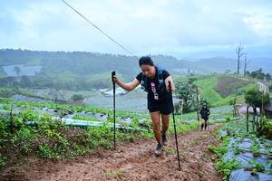 BIB: 114
                            <button type="button" onclick="openModal(13378187)" class="btn btn-primary btn-sm float-right btn-popup" data-toggle="modal" data-target=".modal-high-quality">
                        <i class="fas fa-shopping-cart"></i> Add to Cart
                    </button>
                                            <button type="button" onclick="isThisMe(13378187, true)" class="btn btn-success btn-sm float-right btn-popup btn-isme hidden" data-toggle="tooltip" data-placement="bottom" title="นี่คือรูปของคุณใช่ไหม คลิกที่นี่เพื่อเอาเข้าอัลบั้ม">
                        <i class="fas fa-plus"></i> Add to album
                    </button>
                    <button type="button" onclick="isThisMe(13378187, false)" class="btn btn-warning btn-sm float-right btn-popup btn-isnotme hidden">
                        <i class="fas fa-ban"></i> Remove from album
                    </button>